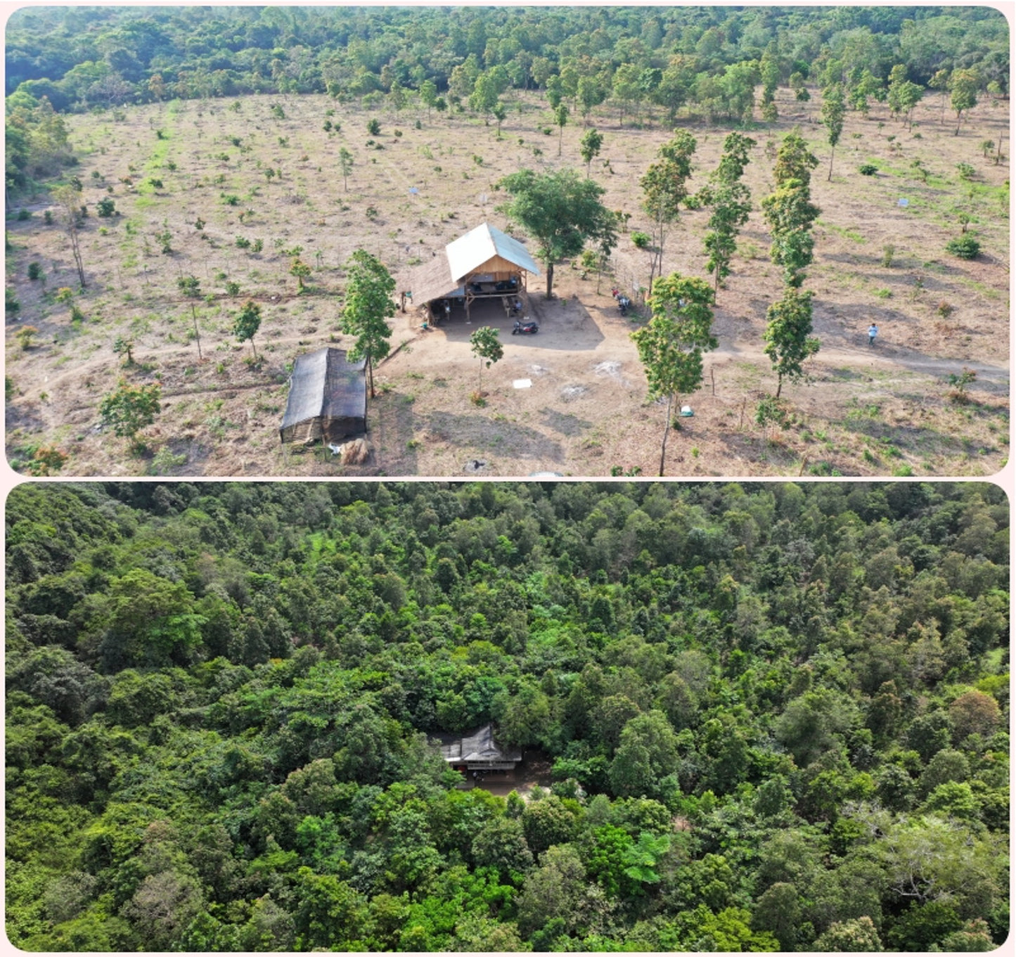 Habitat Restoration