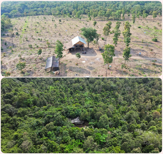Habitat Restoration