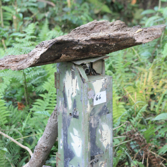 Camera Trap