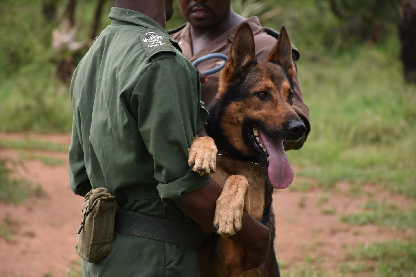 K9 Ranger Adoption