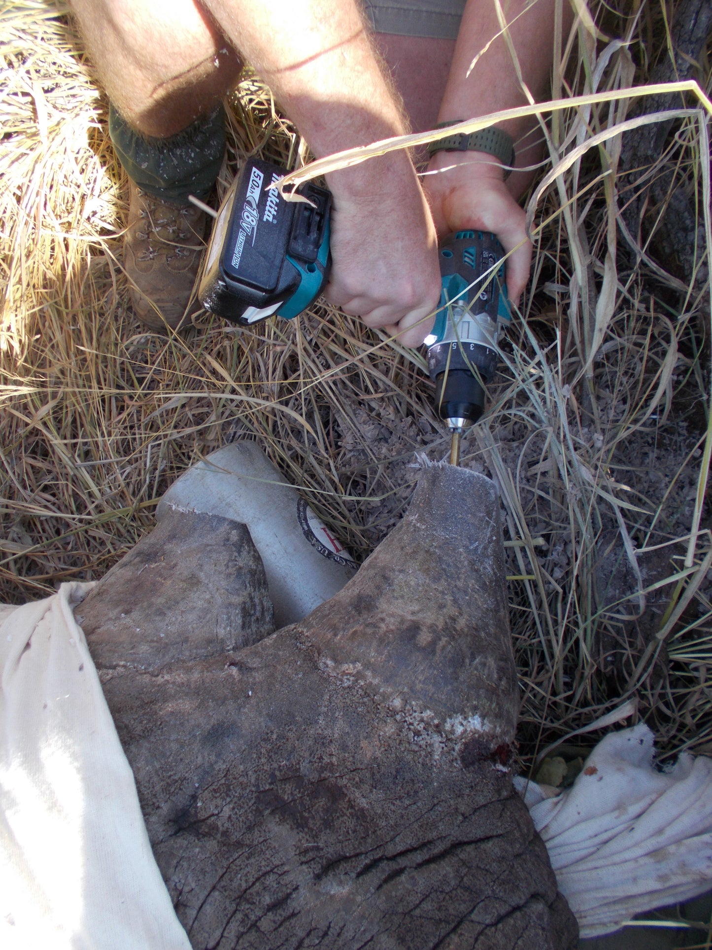 Track a Rhino. Protect a Future.